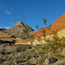 Turtlehead Mountain in Red Rock Canyon